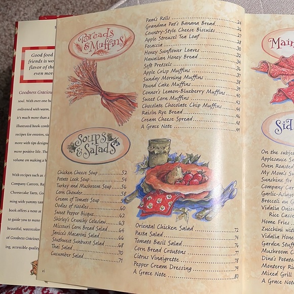 Cookbook | Goodness Gracious | Recipes for Good Food and Gracious Living - Picture 3 of 8